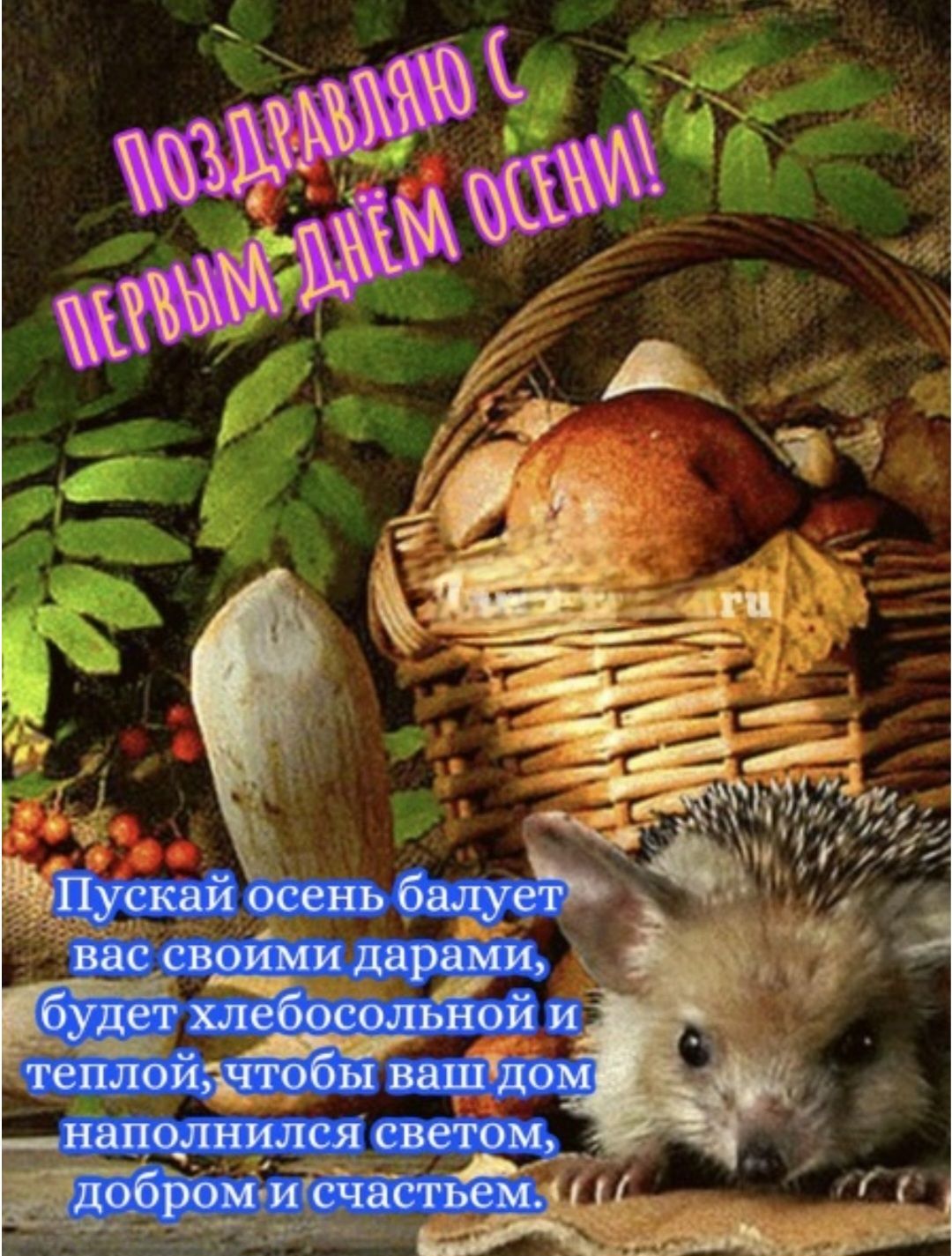 Поздравляю с первым днём осени!
Пусть осень балует вас своими дарами, будет хлебосольной и теплой, чтобы ваш дом наполнился светом, добром и счастьем.