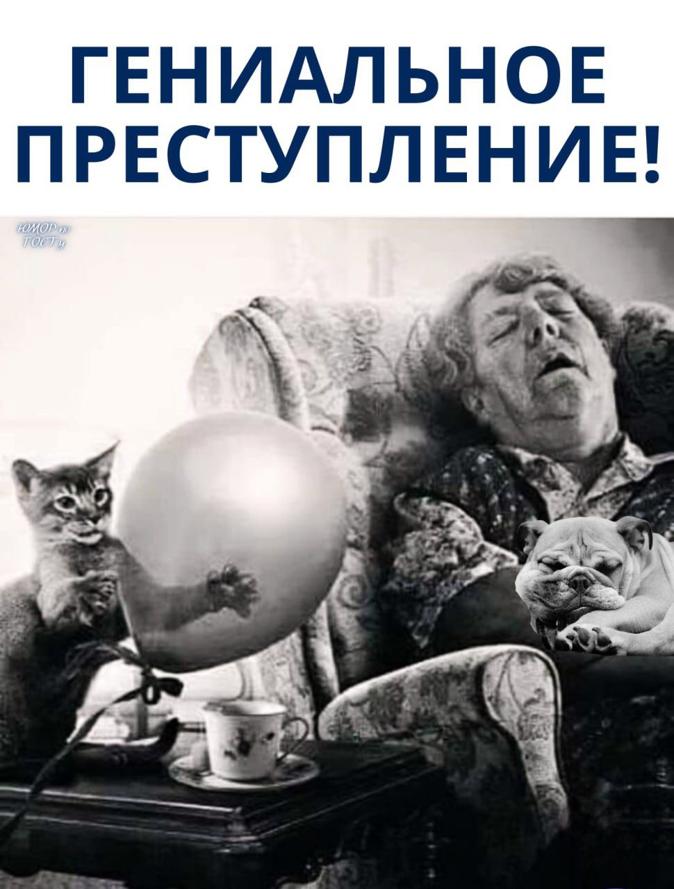 ГЕНИАЛЬНОЕ ПРЕСТУПЛЕНИЕ!