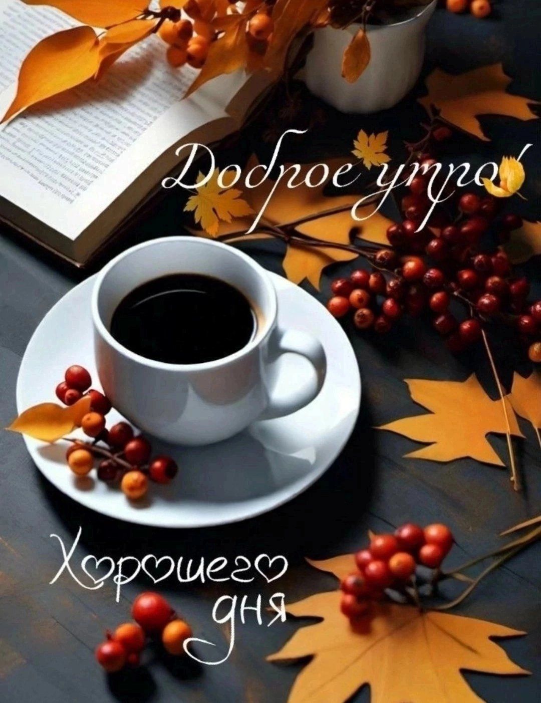 Доброе утро! Хорошего дня