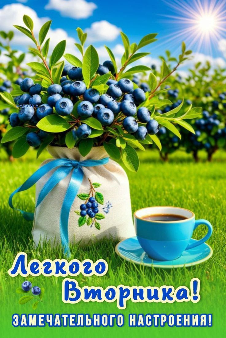 Легкого Вторника! Замечательного настроения!
