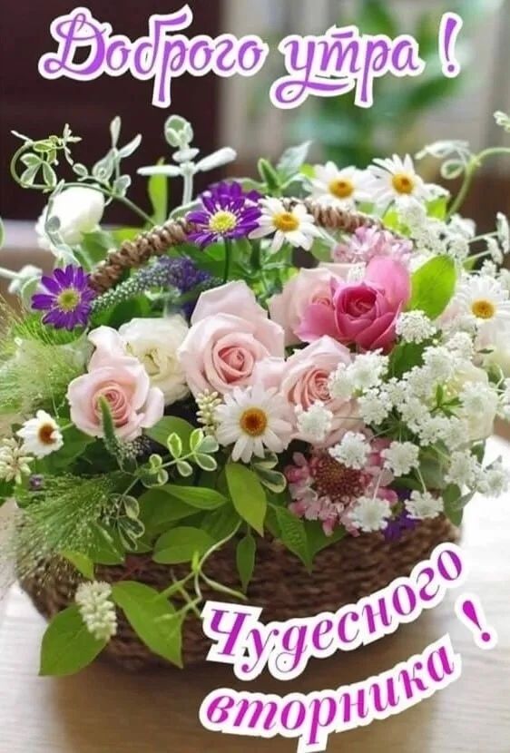 Доброе утро! Чудесного вторника!