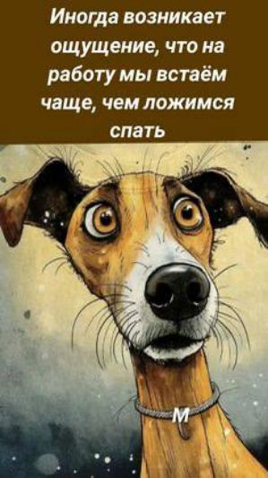 Иногда возникает ощущение, что на работу мы встаём чаще, чем ложимся спать.