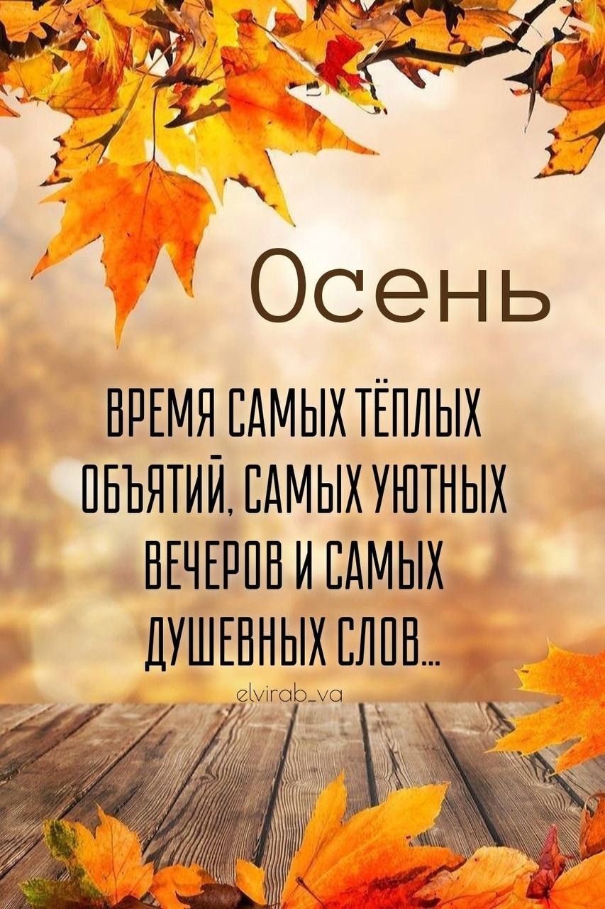 Осень
время самых тёплых объятий, самых уютных вечеров и самых душевных слов...