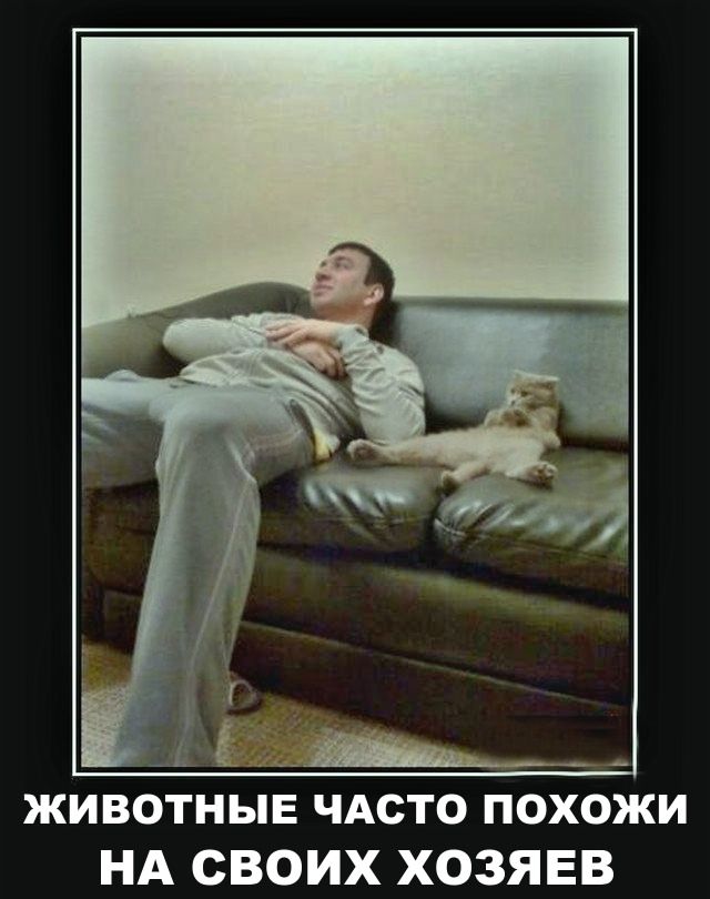 ЖИВОТНЫЕ ЧАСТО ПОХОЖИ НА СВОИХ ХОЗЯЕВ