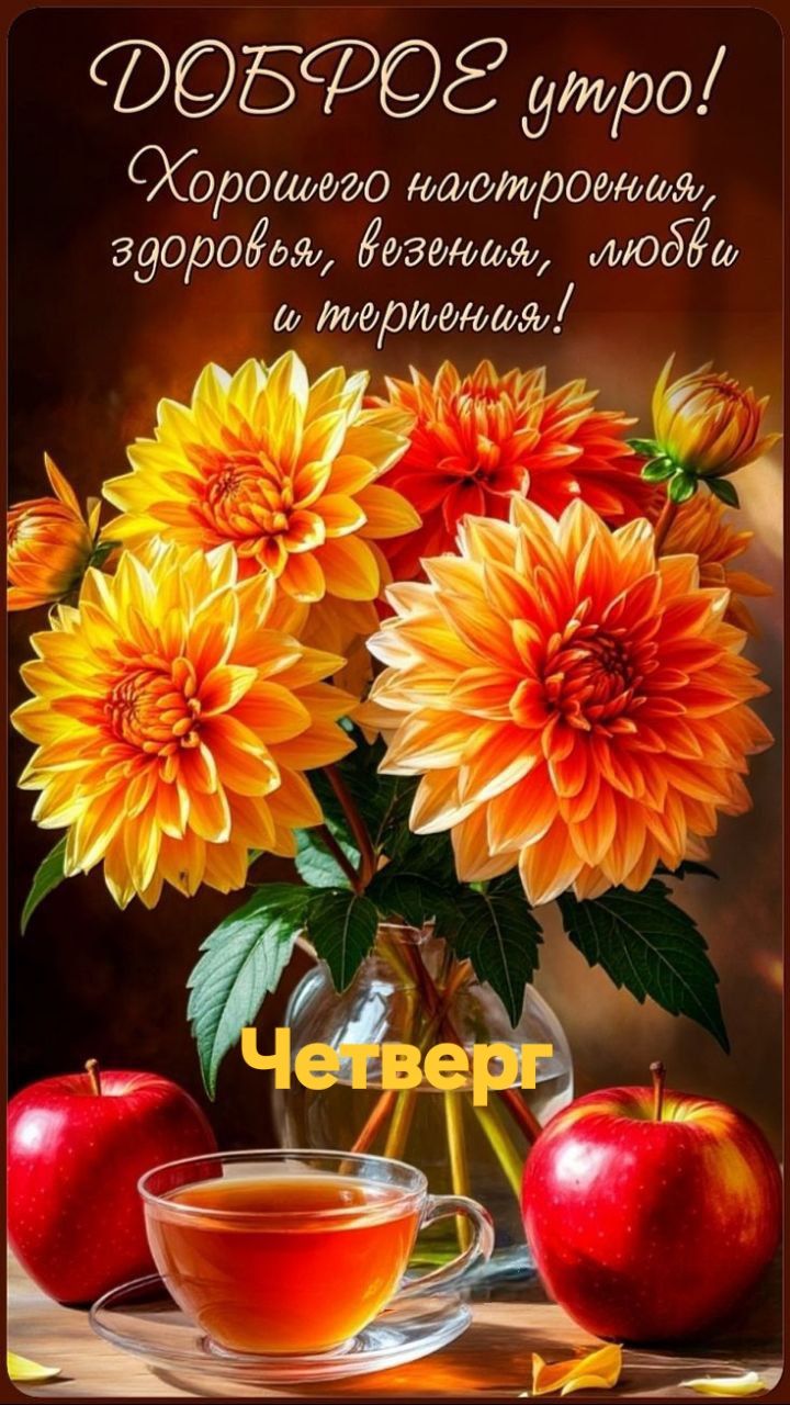 ДОБРОЕ утро! Хорошего настроения, здоровья, веселья, любви и терпения! Четверг