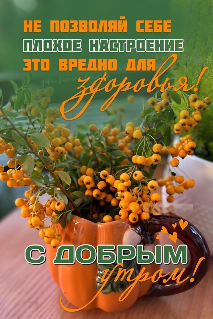 НЕ ПОЗВОЛЯЙ СЕБЕ ПЛОХОЕ НАСТРОЕНИЕ ЭТО ВРЕДНО ДЛЯ здоровья! С ДОБРЫМ УТРОМ!