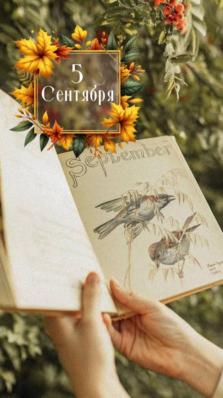 5 Сентября

September