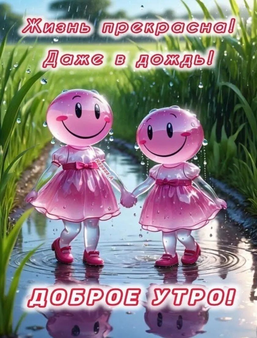 Жизнь прекрасна! Даже в дождь! ДОБРОЕ УТРО!