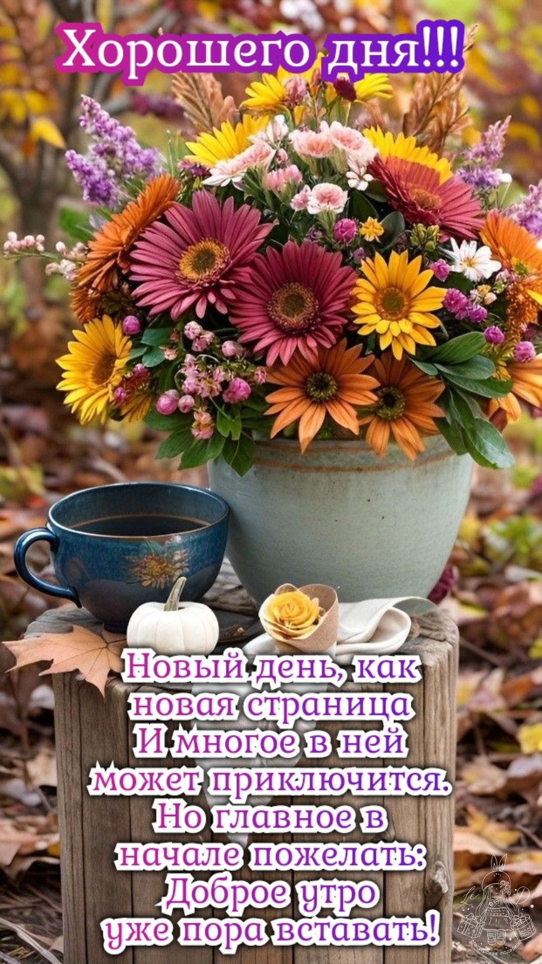 Хорошего дня!!! Новый день, как новая страница И многое в ней может приключиться. Но главное в начале пожелать: Доброе утро уже пора вставать!