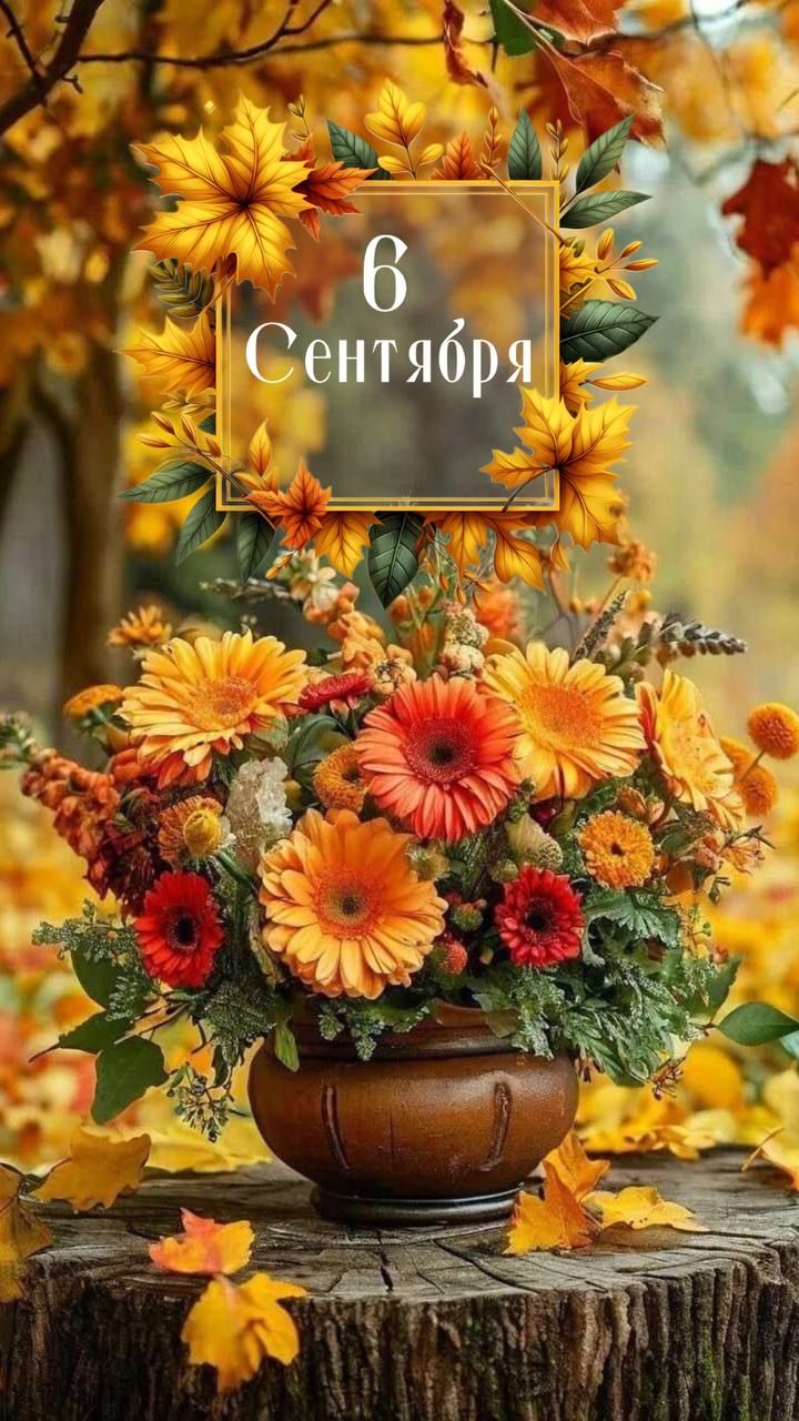 6 Сентября