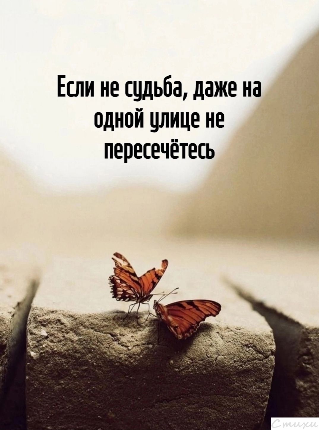 Если не судьба, даже на одной улице не пересечётесь
