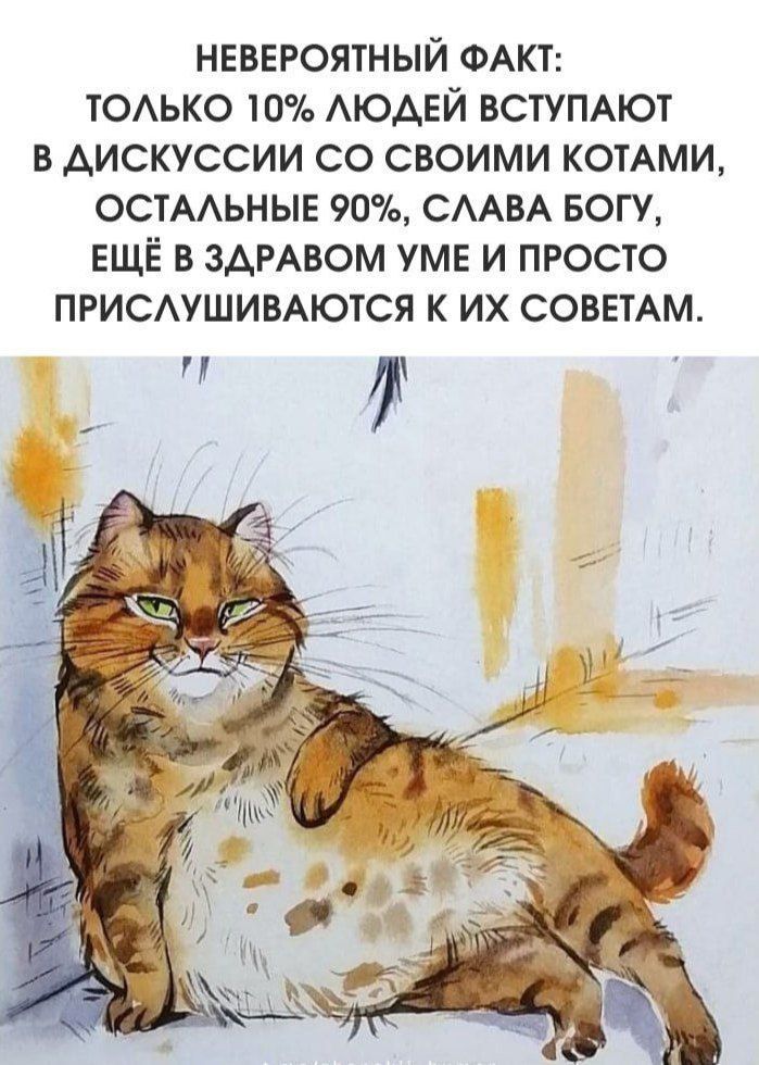НЕВЕРОЯТНЫЙ ФАКТ: ТОЛЬКО 10% ЛЮДЕЙ ВСТУПАЮТ В ДИСКУССИИ СО СВОИМИ КОТАМИ, ОСТАЛЬНЫЕ 90%, СЛАВА БОГУ, ЕЩЁ В ЗДРАВОМ УМЕ И ПРОСТО ПРИСЛУШИВАЮТСЯ К ИХ СОВЕТАМ.