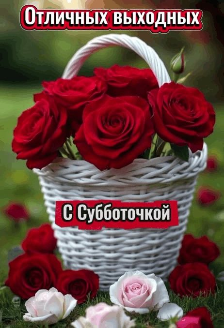 Отличных выходных
С Субботочкой