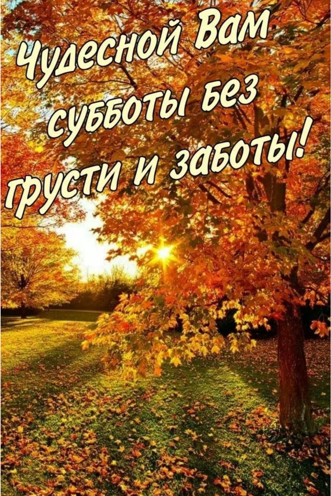 Чудесной Вам субботы без грусти и заботы!
