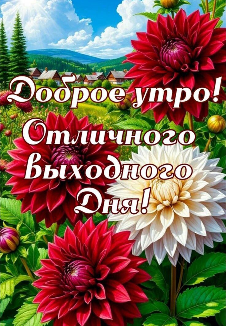 Доброе утро! Отличного выходного Дня!