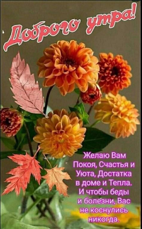 Доброе утро! Желаю Вам Покоя, Счастья и Уюта, Достатка в доме и Тепла. И чтобы беды и болезни Вас не коснулись никогда.