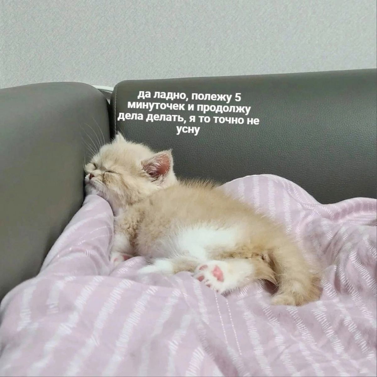 да ладно, полежу 5 минуточек и продолжу дела делать, я то точно не усну
