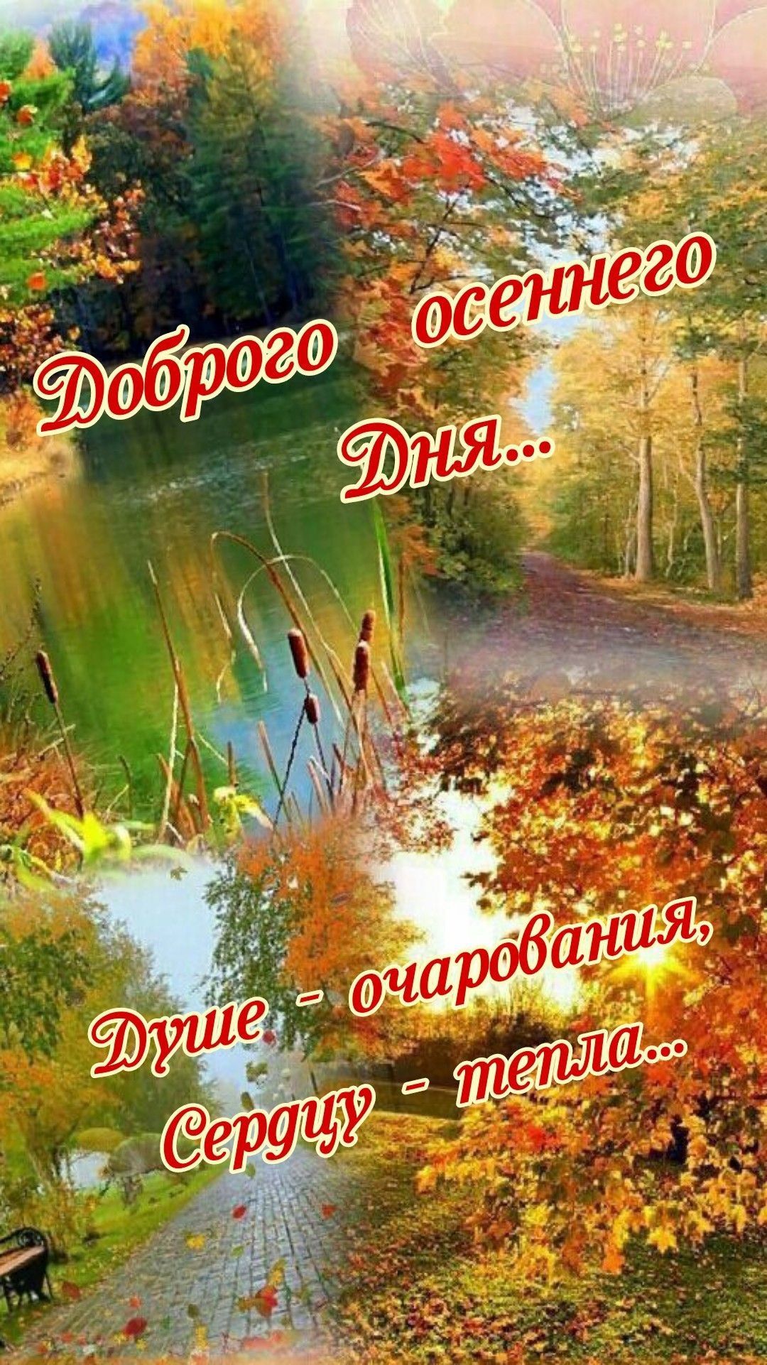 Доброго осеннего Дня...
Душе - очарования, Сердцу - тепла...