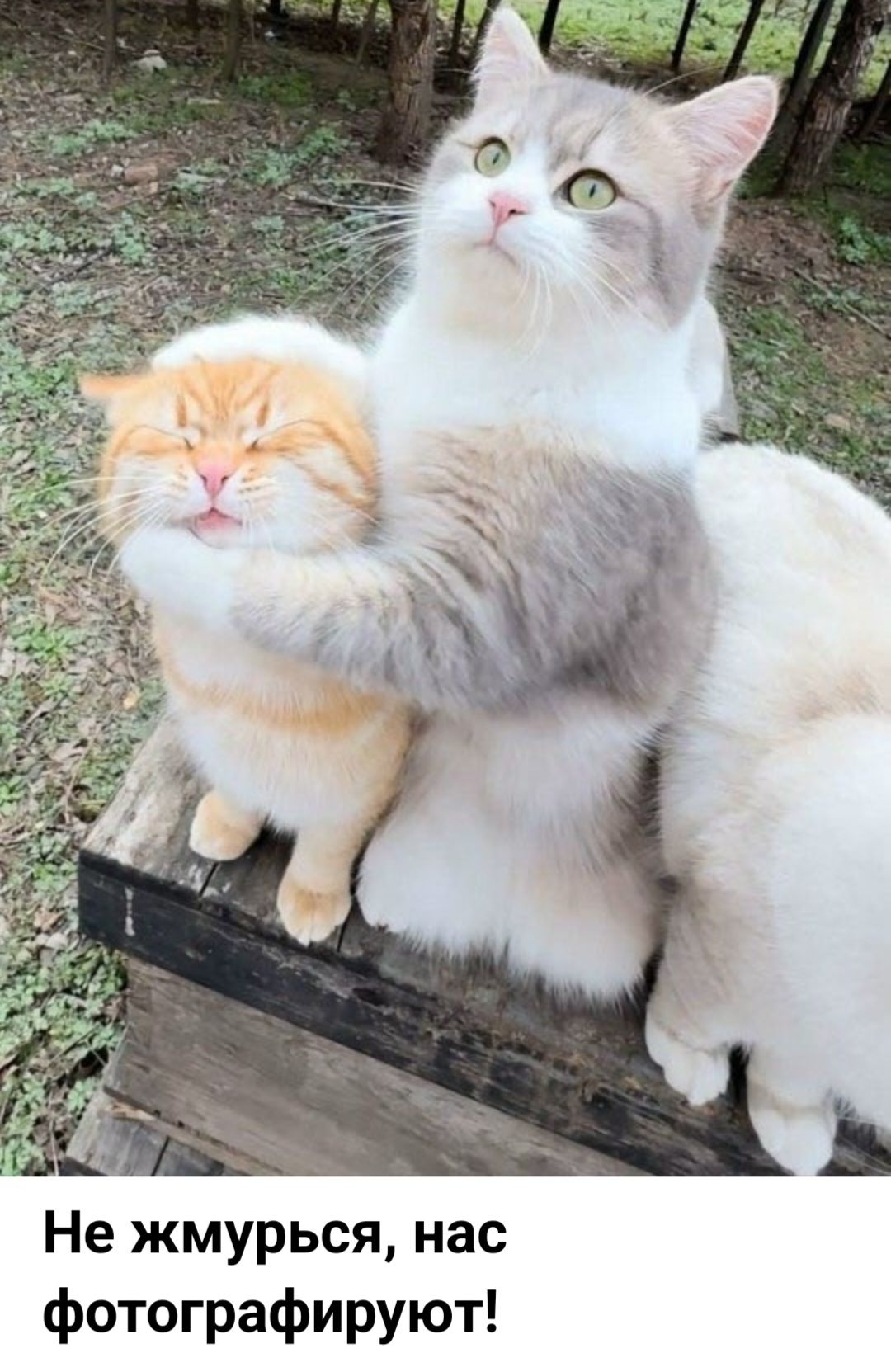 Не жмурься, нас фотографируют!