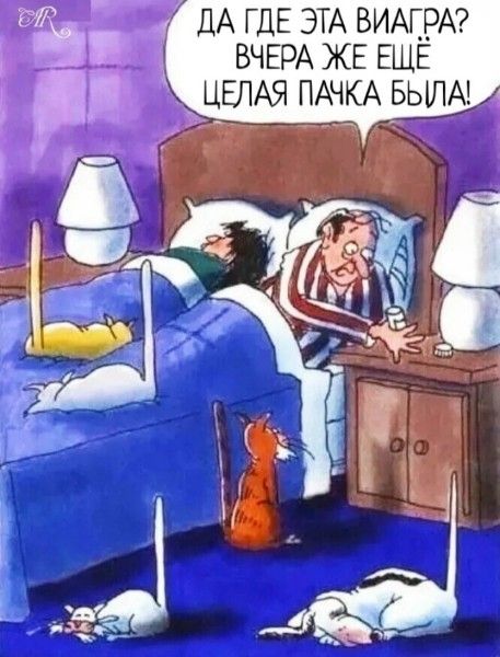 ДА ГДЕ ЭТА ВИАГРА? ВЧЕРА ЖЕ ЕЩЁ ЦЕЛАЯ ПАЧКА БЫЛА!