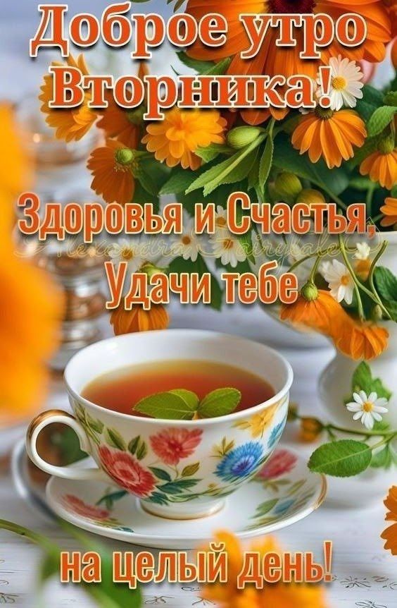 Доброе утро Вторника! Здоровья и Счастья, Удачи тебе на целый день!