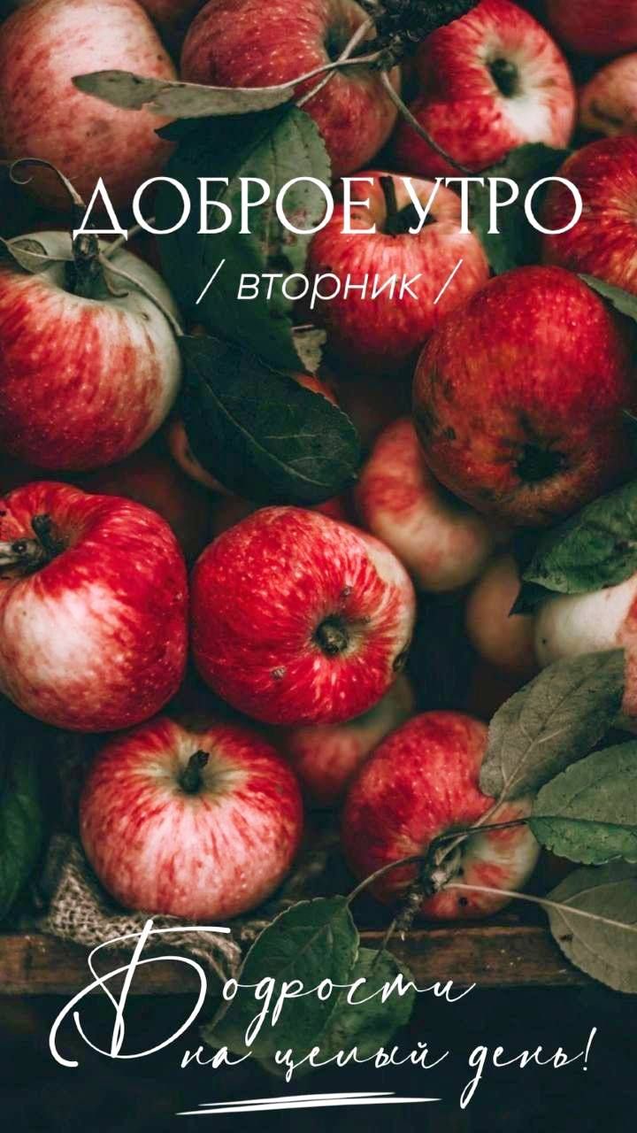 ДОБРОЕ УТРО / вторник / Бодрости на целый день!
