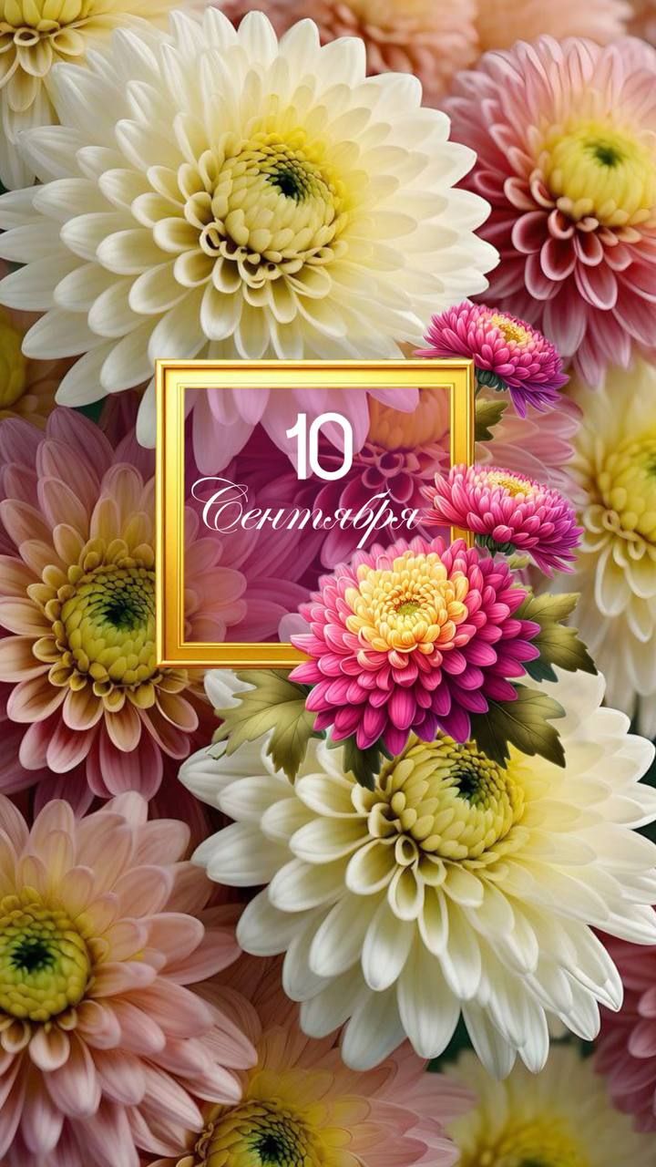 10 Сентября