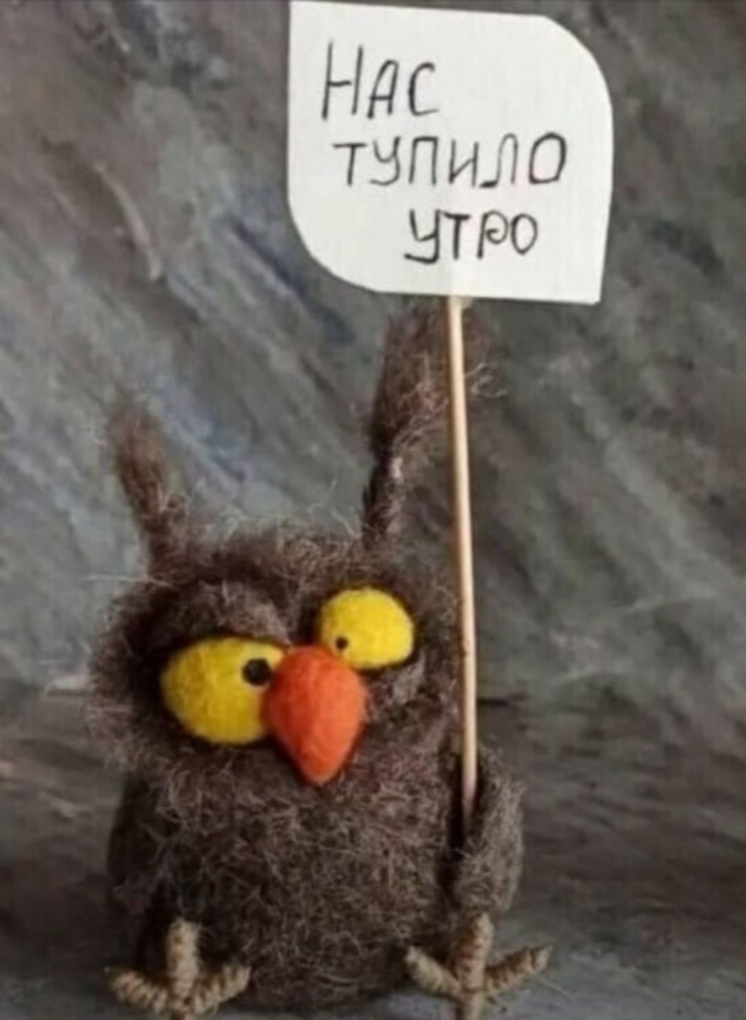 Нас тупило утро