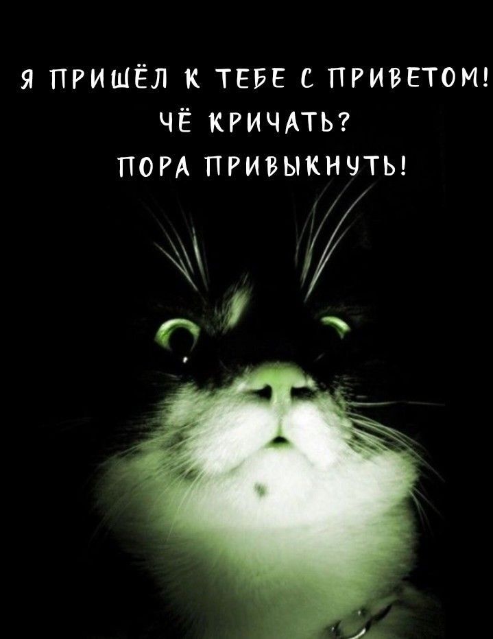 Я ПРИШЁЛ К ТЕБЕ С ПРИВЕТОМ! ЧЁ КРИЧАТЬ? ПОРА ПРИВЫКНУТЬ!