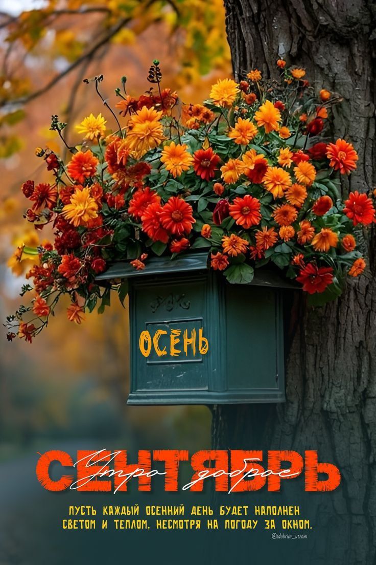 ОСЕНЬ
СЕНТЯБРЬ
Утро доброе
Пусть каждый осенний день будет наполнен светом и теплом. Несмотря на погоду за окном.