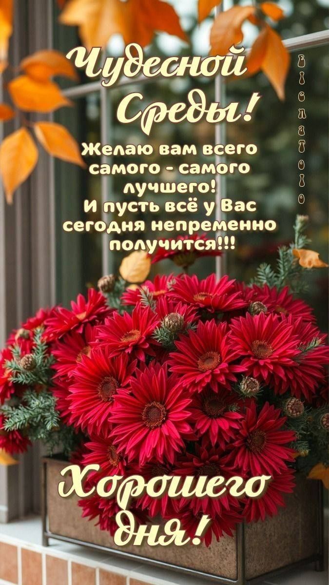 Чудесной Среды! Желаю вам всего самого - самого лучшего! И пусть всё у Вас сегодня непременно получится!!! Хорошего дня!
