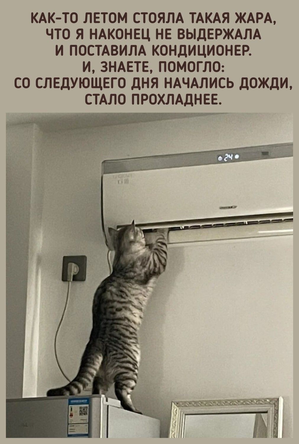 Как-то летом стояла такая жара, что я наконец не выдержала и поставила кондиционер. И, знаете, помогло: со следующего дня начались дожди, стало прохладнее.