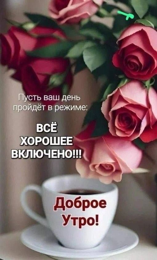 Пусть ваш день пройдет в режиме: ВСЁ ХОРОШЕЕ ВКЛЮЧЕНО!!! Доброе Утро!