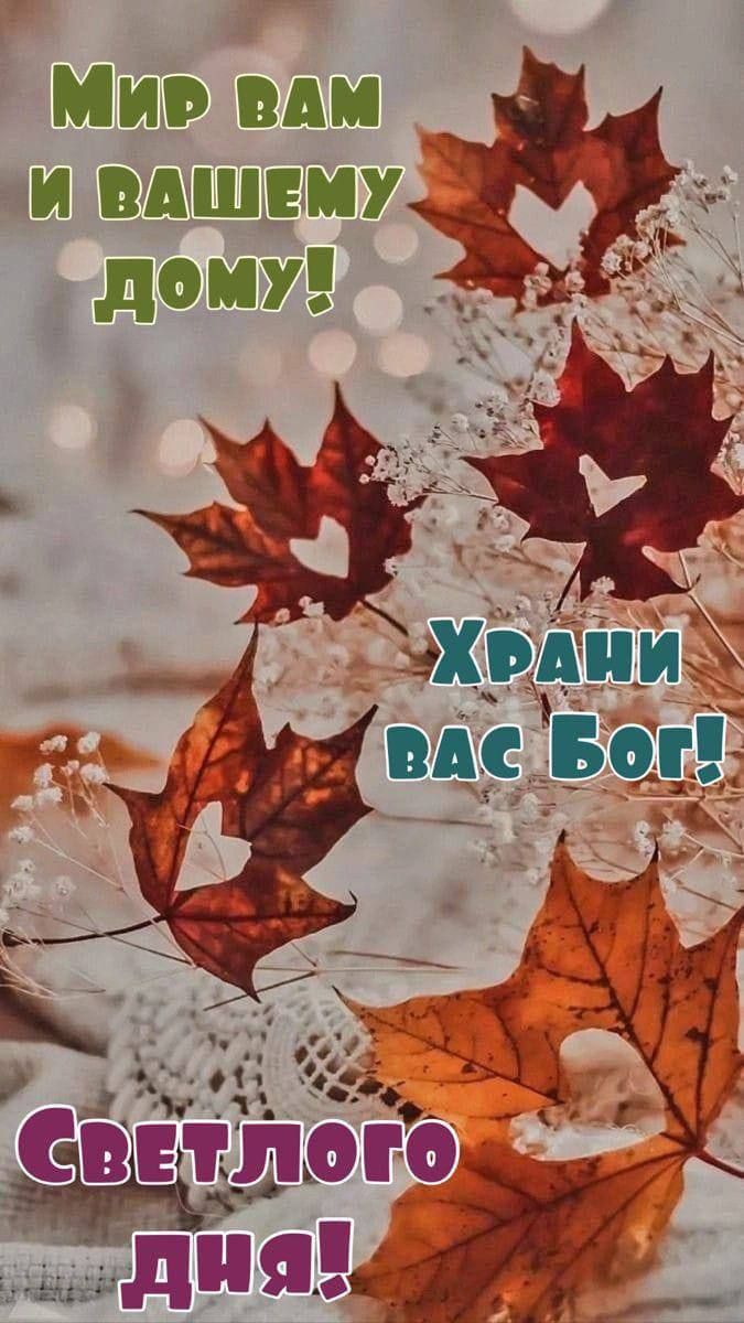 Мир вам и вашему дому! Храни вас Бог! Светлого дня!