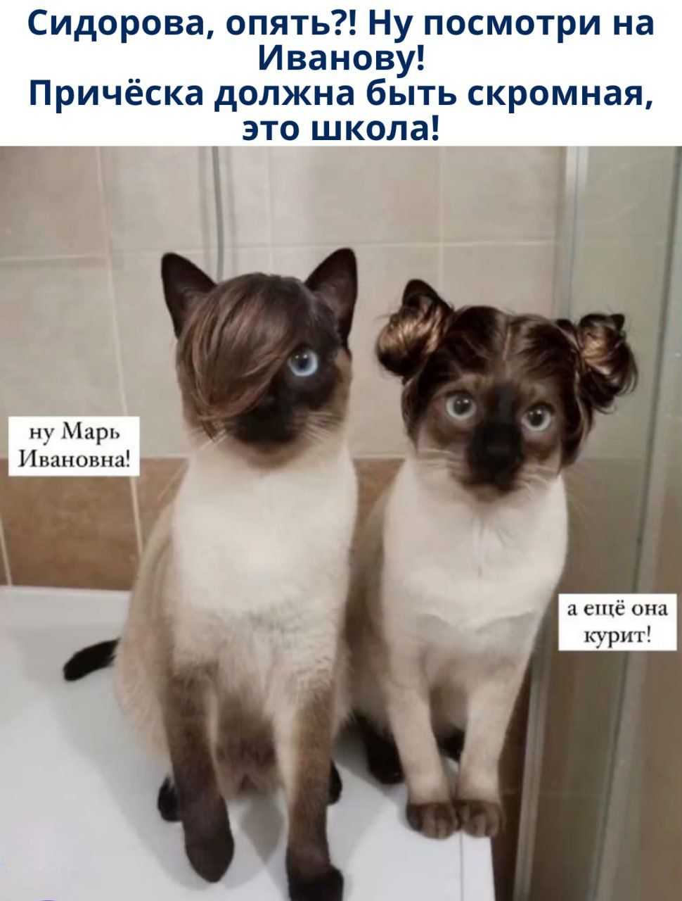 Сидорова, опять?! Ну посмотри на Иванову! Причёска должна быть скромная, это школа!
ну Марь Ивановна!
a ещё она курит!