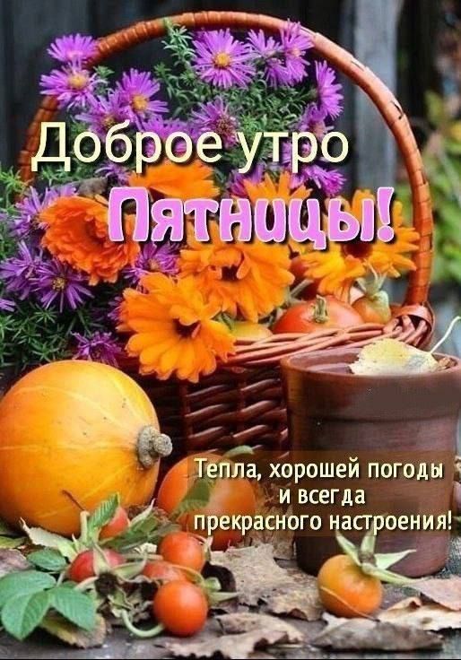 Доброе утро Пятницы! Тепла, хорошей погоды и всегда прекрасного настроения!