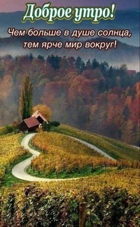 Доброе утро! Чем больше в душе солнца, тем ярче мир вокруг!