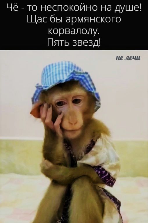 Чё - то неспокойно на душе! Щас бы армянского коралолю. Пять звезд!