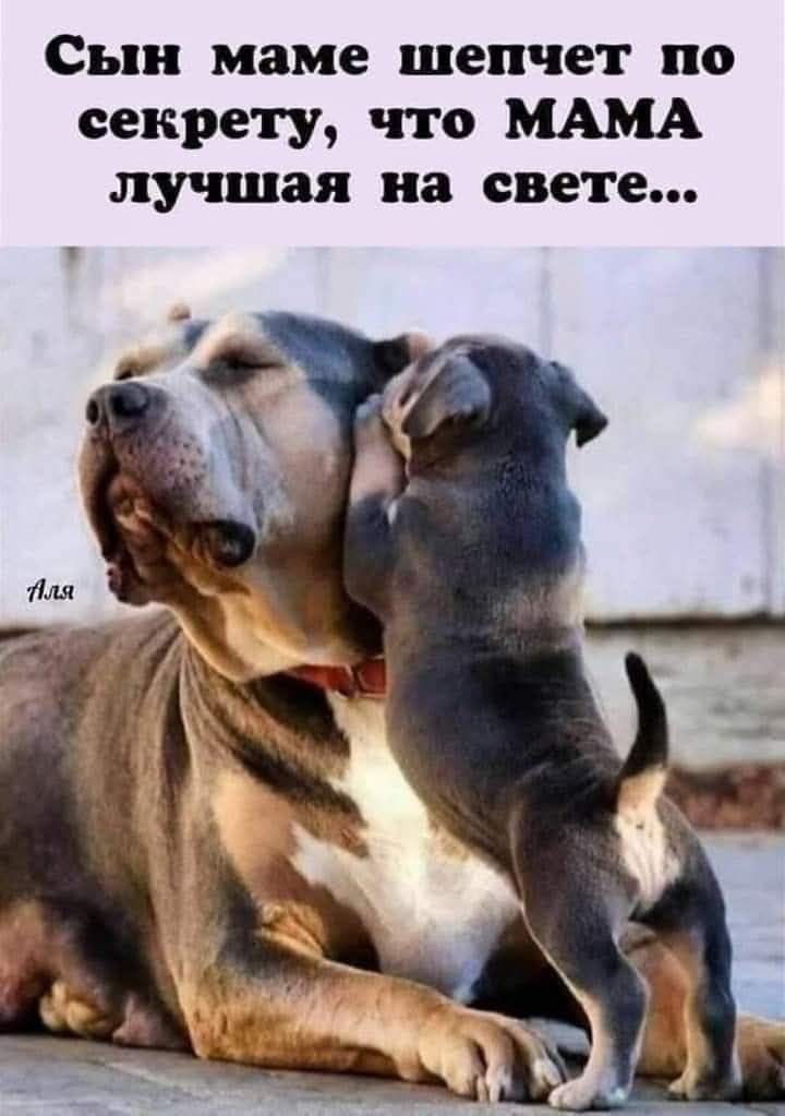 Сын маме шепчет по секрету, что МАМА лучшая на свете...