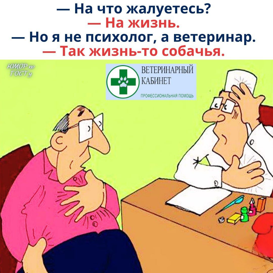 — На что жалуетесь?  — На жизнь.  — Но я не психолог, а ветеринар.  — Так жизнь-то собачья.