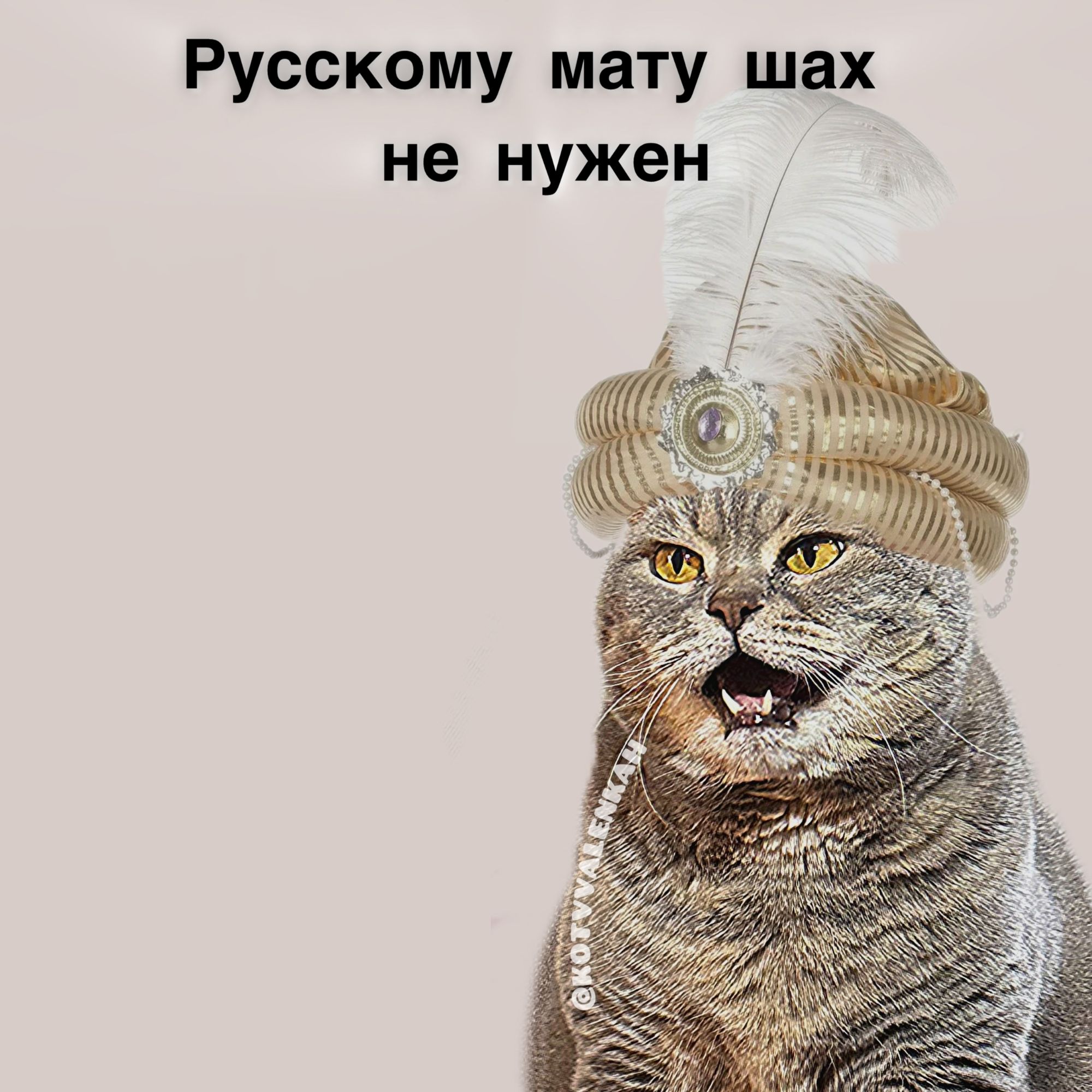 Русскому мату шах не нужен