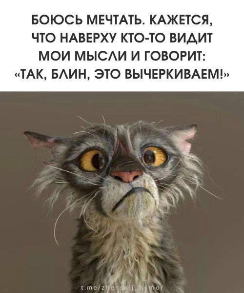 БОЮСЬ МЕЧТАТЬ. КАЖЕТСЯ, ЧТО НАВЕРХУ КТО-ТО ВИДИТ МОИ МЫСЛИ И ГОВОРИТ: «ТАК, БЛИН, ЭТО ВЫЧЕРКИВАЕМ!»
