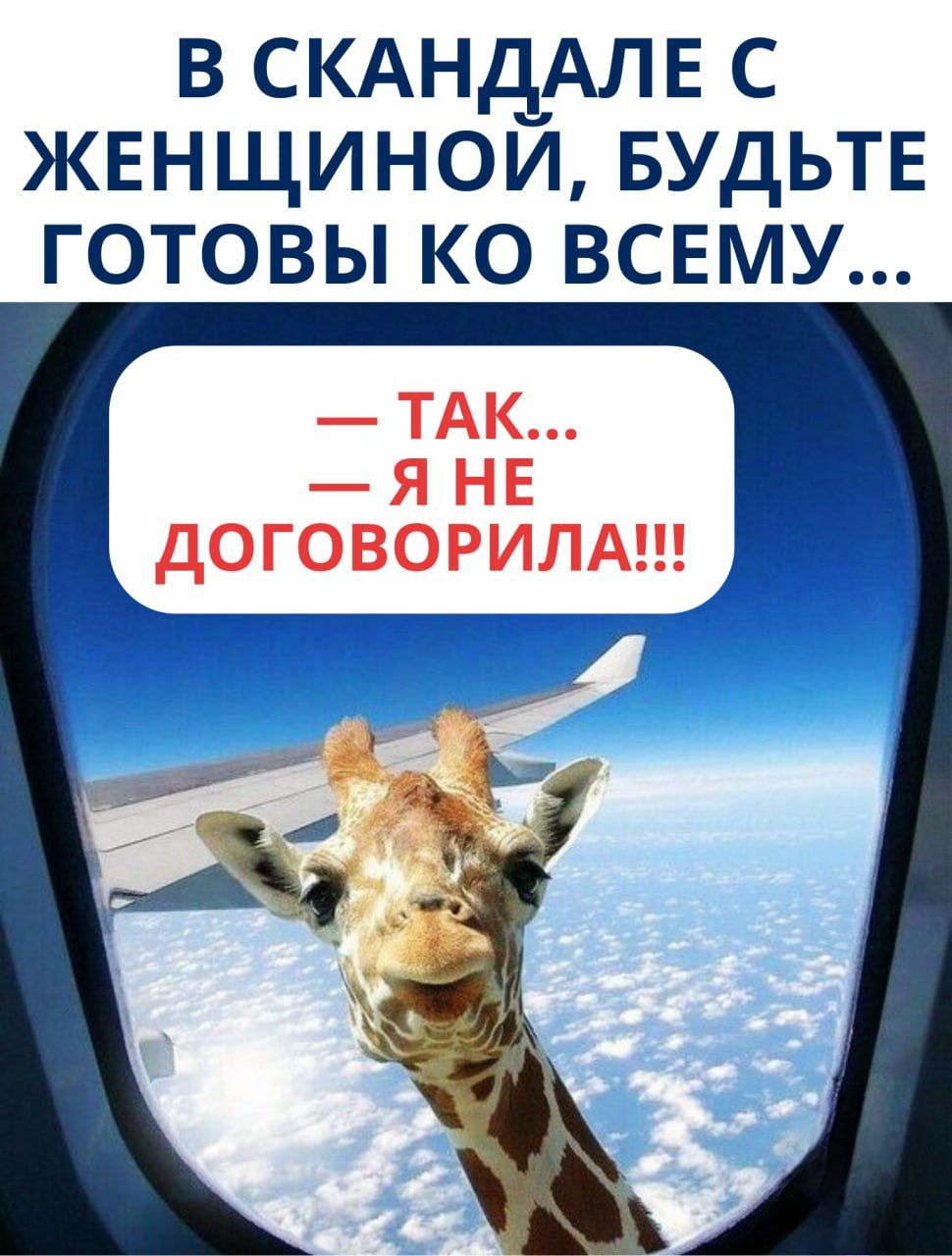 В СКАНДАЛЕ С ЖЕНЩИНОЙ, БУДЬТЕ ГОТОВЫ КО ВСЕМУ...
— ТАК...
— Я НЕ ДОГОВОРИЛА!!!