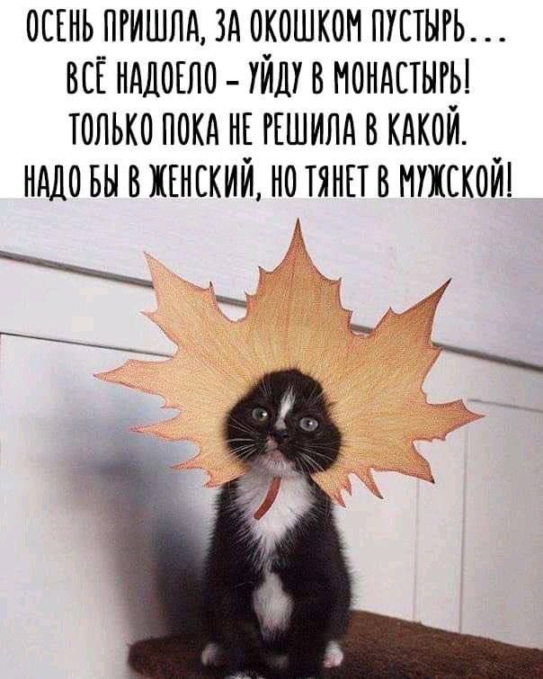 ОСЕНЬ ПРИШЛА, ЗА ОКНОШКОМ ПУСТЫРЬ... ВСЁ НАДОЕЛО – УЙДУ В МОНАСТЫРЬ! ТОЛЬКО ПОКА НЕ РЕШИЛА В КАКОЙ. НАДО БЫ В ЖЕНСКИЙ, НО ТЯНЕТ В МУЖСКОЙ!