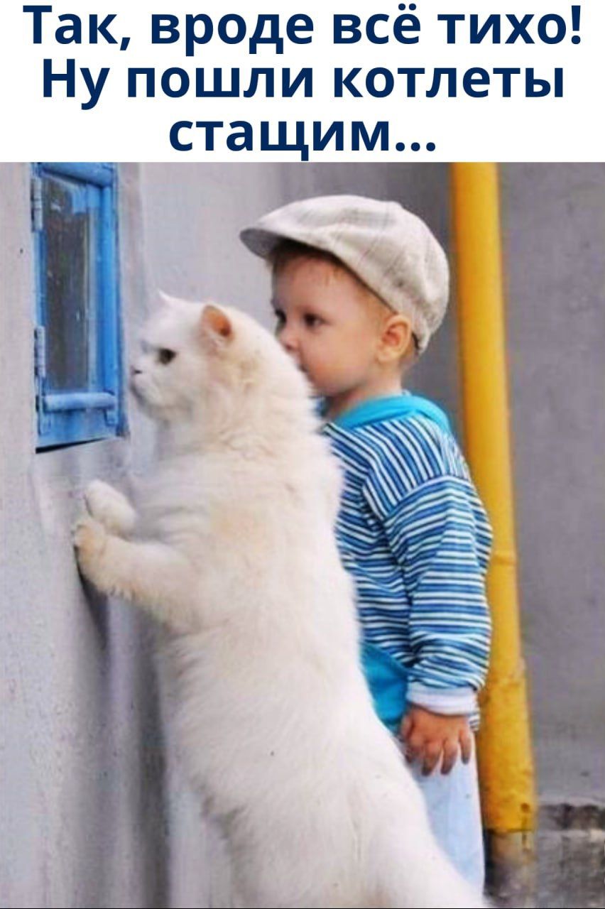 Так, вроде всё тихо! Ну пошли котлеты стащим...