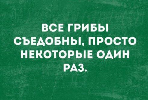 ВСЕ ГРИБЫ СЪЕДОБНЫ, ПРОСТО НЕКОТОРЫЕ ОДИН РАЗ.
