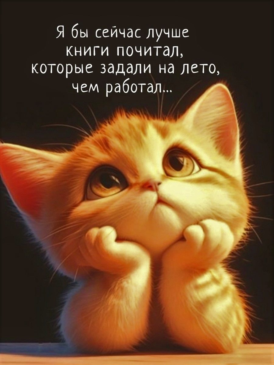 Я бы сейчас лучше книги почитал, которые задали на лето, чем работал...