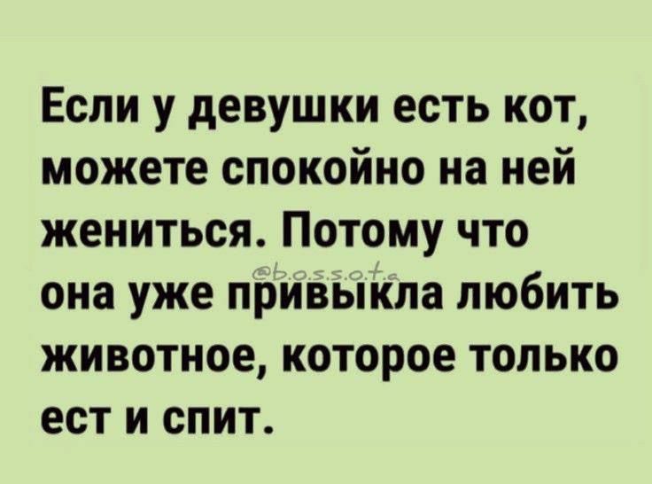 Если у девушки есть кот, можете спокойно на ней жениться. Потому что она уже привыкла любить животное, которое только ест и спит.