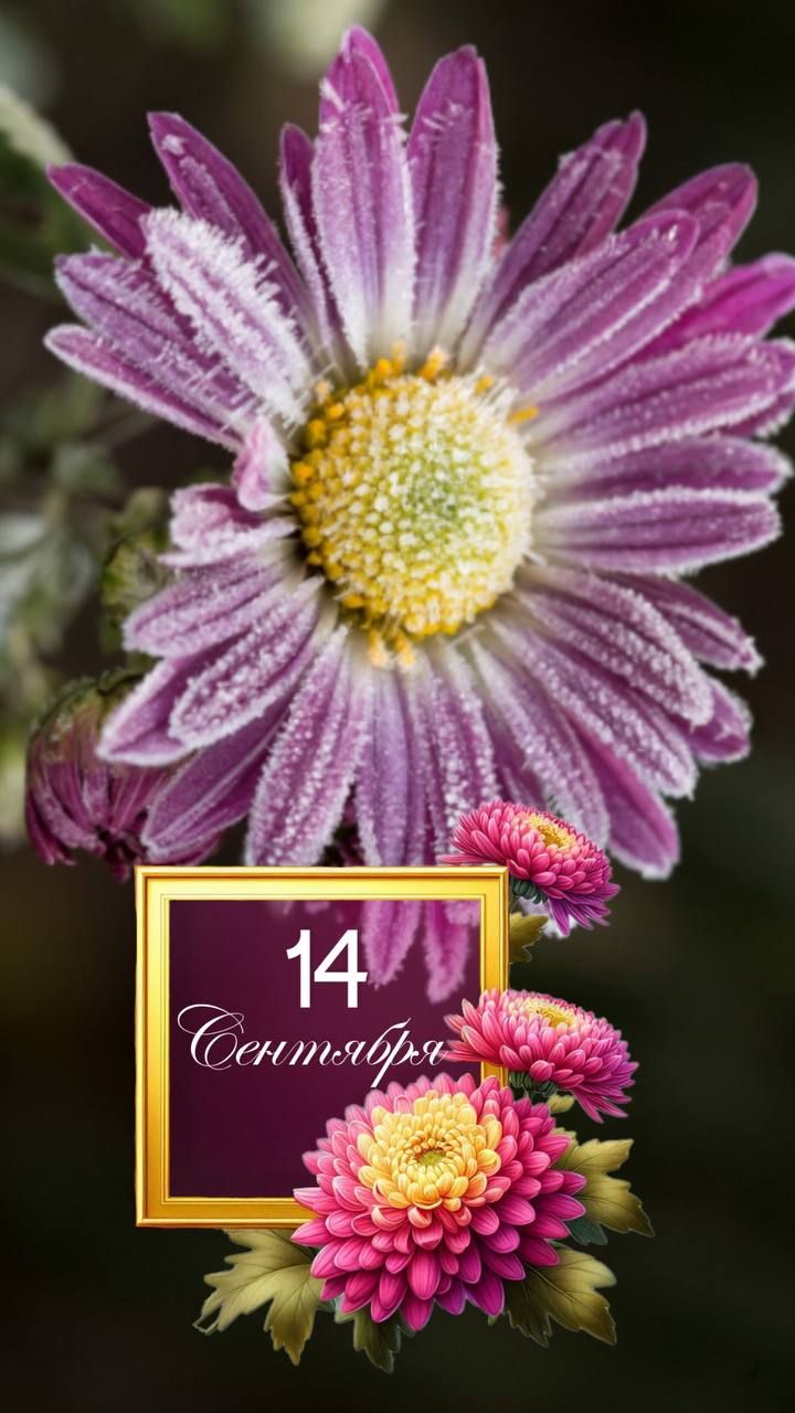 14 Сентября