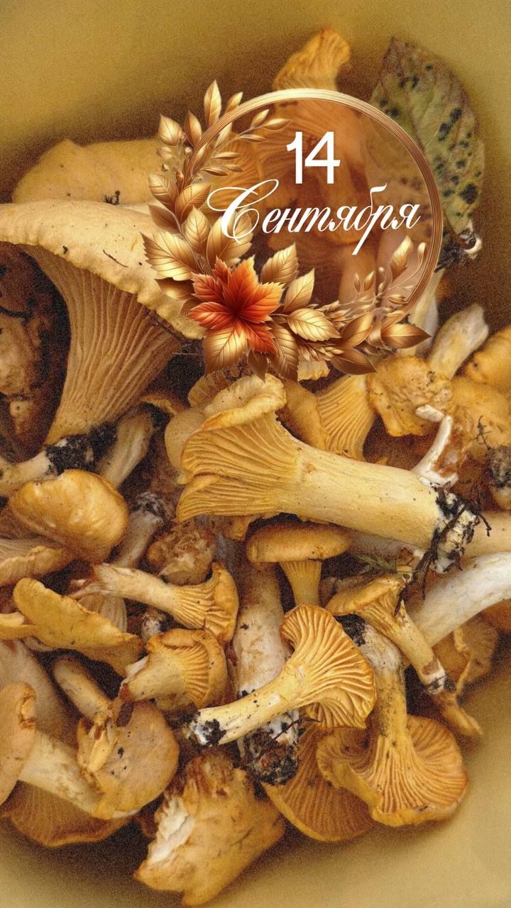 14 Сентября